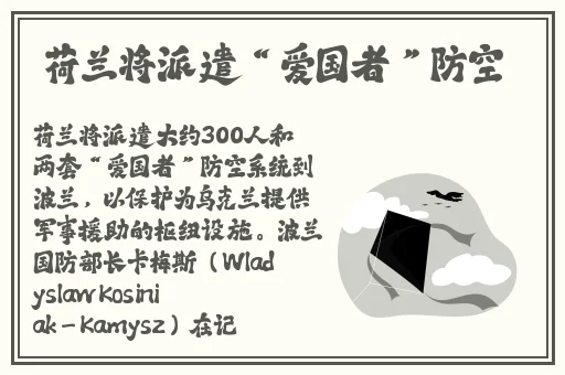 国产精品亚洲欧美大片在线观看